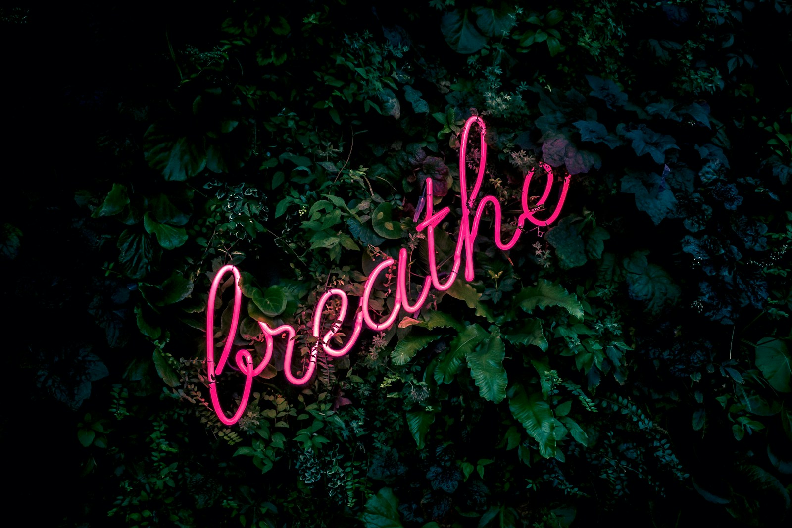 Breathe and Start Again